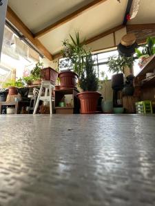 Hospedaje casa Colón