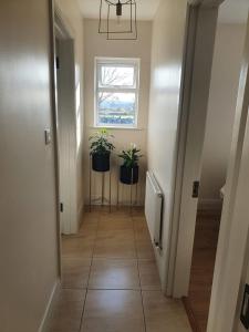 Cozy Connemara Family Retreat