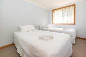 Birchgrove Terrace 5