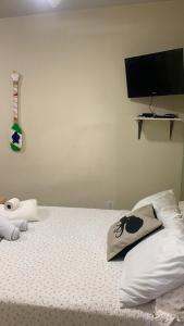 Wonders of Arraial Loft 6