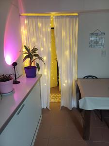 Departamento Paseo de la Centolla
