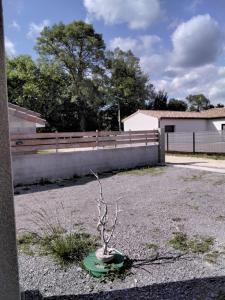 Maisons de vacances L Essentiel Studio climatise A pied Riviere, Marche,Voie Verte : photos des chambres