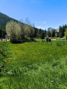 Chalets Le Cru-Queyras vit! Elegant chalet lumineux 15pers - Aiguilles - Queyras : photos des chambres