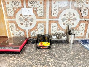 The Escape of Paradise