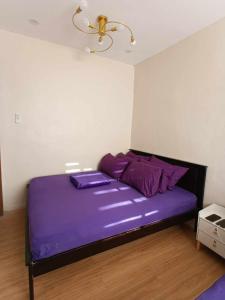 Le Château de Zambales