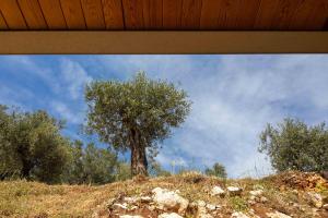 Villa Ouranos by WhiteDream Villas