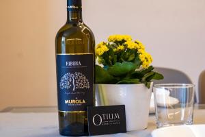 650m from the sea, 8 guests, AC, Wi-Fi