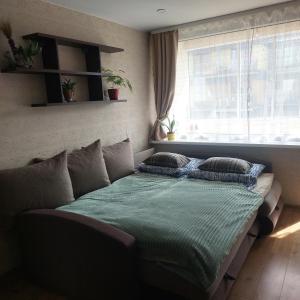 Prie Palangos Lino - Vanagupėje