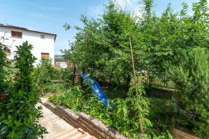 House Antonija, relax by the sea
