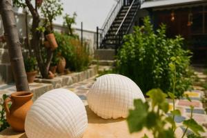 Urban Seaside Oasis - Adrianas Garden Paradise