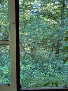Charmant chalet