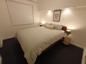 Cute, Cozy and Central Apt 2