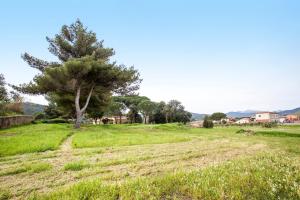 Appartamento Podere San Marco - Bilocale