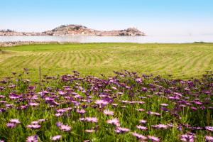 Appartamento Podere San Marco - Bilocale