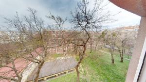 Apartment for rent near the center