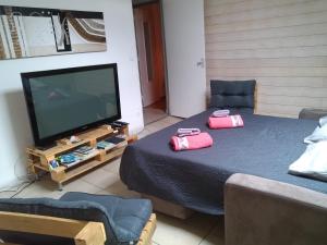 Appartements Vue sur les montagnes : photos des chambres