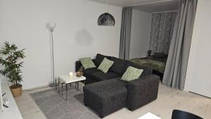 Spacious studio with cathedral views