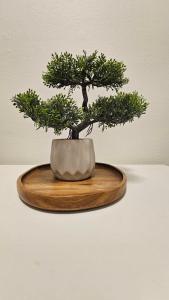 Spacious studio with cathedral views