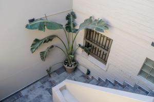 The View Apartment 4