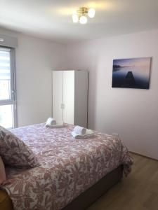 Appartements Appartement T2 48 m2 le Cliper B proche du lac, 1 chambre garage terrasse : photos des chambres