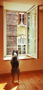 Appartements Le loft : photos des chambres