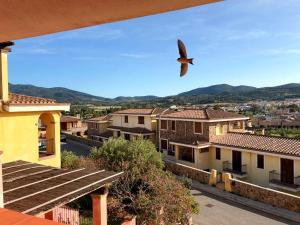 Il Sogno di Ornella img23