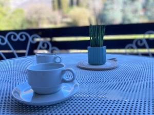 SunsetView - Lake Como swimming pool and garden