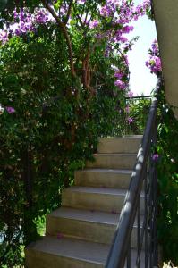 Lovely 1BR Apartment 5min of walk from city center