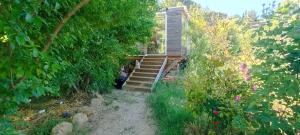 Maisons de vacances Petite maison d-artitstes en Provence : photos des chambres