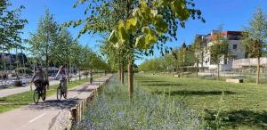 Appartements Tassigny - Charmant appartement/ terrasse - Port : photos des chambres