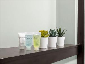 Apartment 296 - Clifden