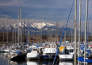 Bateaux BATEAU STANDING A QUAI tout confort : photos des chambres