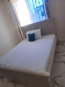 The Blue Apartment Sparki