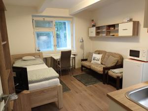 Malý útulný byt V Lipkách - 3hvězdičkové hotely ve městě Hradec Králové