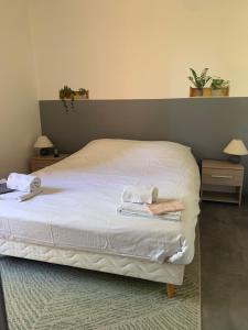 Appartements Appartement Cosy Confort PARKING CLIM WIFI LINGE acces piscine non inclus : photos des chambres