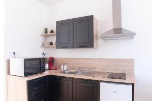Appartements Le Saint-etienne studio moderne et lumineux : photos des chambres