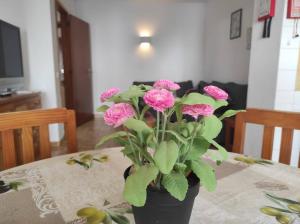 Sweet Home Clube Praia da Rocha 120