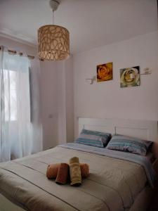 Madonnina House in pieno centro