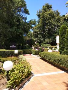 Oasis Resort&Spa Lozenets Studio