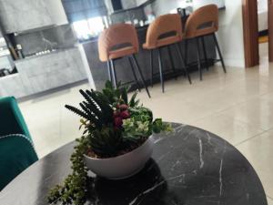 Ocean Breeze Apartment