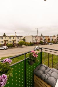 Hexagon Studio Comfort