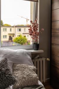 Hexagon Studio Comfort