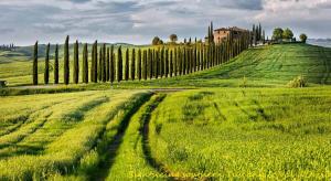 by Casamerina, House with private pool 30km from Siena & Arezzo