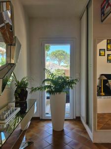 Maisons de vacances Belle villa lespignan : photos des chambres