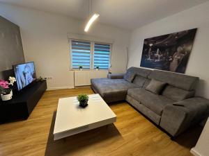 City Studio mit Wintergarten
