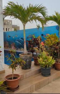 Villa Hawa, Décor unique & Piscine - Ubytování bez kategorie ve městě Somone