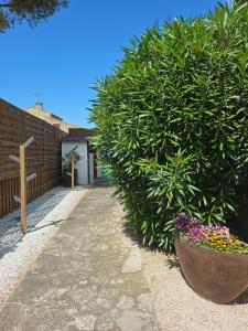 Maisons de vacances Belle villa lespignan : photos des chambres