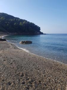 Villa avec piscine proche des plages