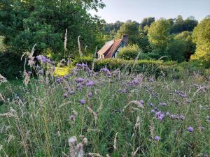 Maisons de vacances Gite Le Paradis - Romance and Authenticity : photos des chambres