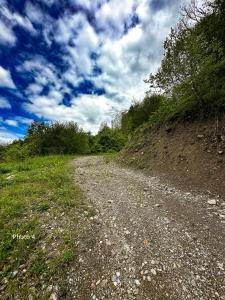 Chalets Chalet St Bernard : photos des chambres